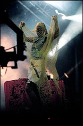 Chicks On Speed. Foto: Javier Rosa