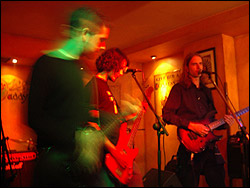 Treeshall. Foto: Juanma Cantos