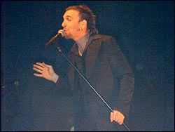 Elefantes. Foto: Agust&iacute;n Zafra