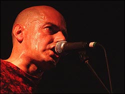 Lagartija Nick. Foto: Juan Jesús García