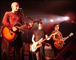 Lagartija Nick. Foto: Juan Jesús García