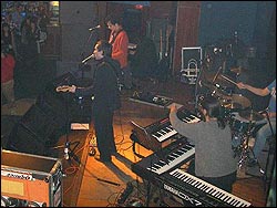 Australian Blonde. Foto: Ivonne Villamor.