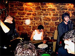 The Fuzztones. Foto: Javier Rosa.