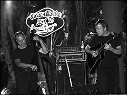 Patricia Barber Quartet. Foto: Sergio Navas.