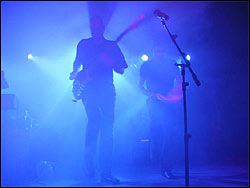 Apache. Foto: Manolo Pulgar.