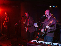 Escarabajos. Foto: Juan Jes&uacute;s Garc&iacute;a.