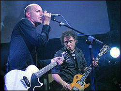 Lagartija Nick. Foto: Juan Jesús García