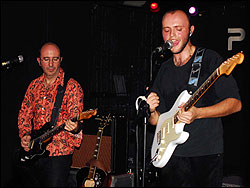 Escarabajos. Foto: Juan Jes&uacute;s Garc&iacute;a