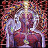 Tool "Lateralus" (Tool Dissectional)