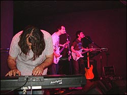 Australian Blonde. Foto: Juan Jesús García.