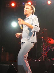 Elefantes. Foto: Agustín Zafra.