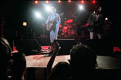 Elefantes. Foto: Agustín Zafra.