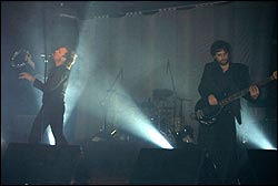 Elefantes. Foto: Agust&iacute;n Zafra