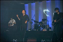 Elefantes. Foto: Agust&iacute;n Zafra