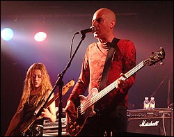 Lagartija Nick. Foto: Juan Jesús García