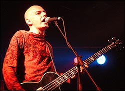 Lagartija Nick. Foto: Juan Jesús García