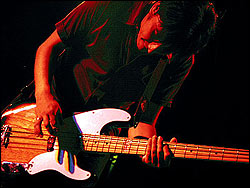 Maga. Foto: Sitoh Ortega.