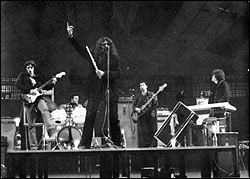 Ñu. Foto: Juan Jesús García.