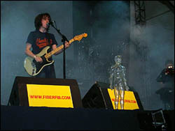 Carrots. Foto: Juanma Cantos.