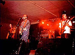 Los Duendes de Peterson