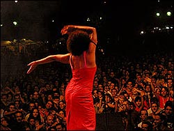 Zuco 103. Foto: Sitoh Ortega.