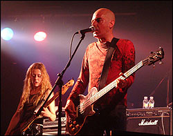 Lagartija Nick. Foto: Juan Jesús García.