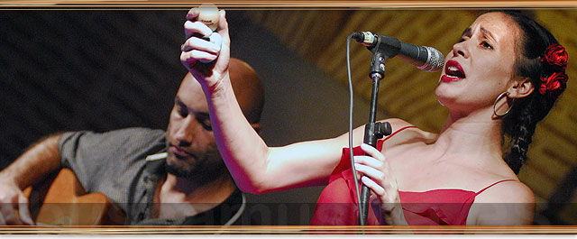 POESÍA EN EL LAUREL