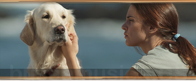 SEIS PUNTOS SOBRE EMMA